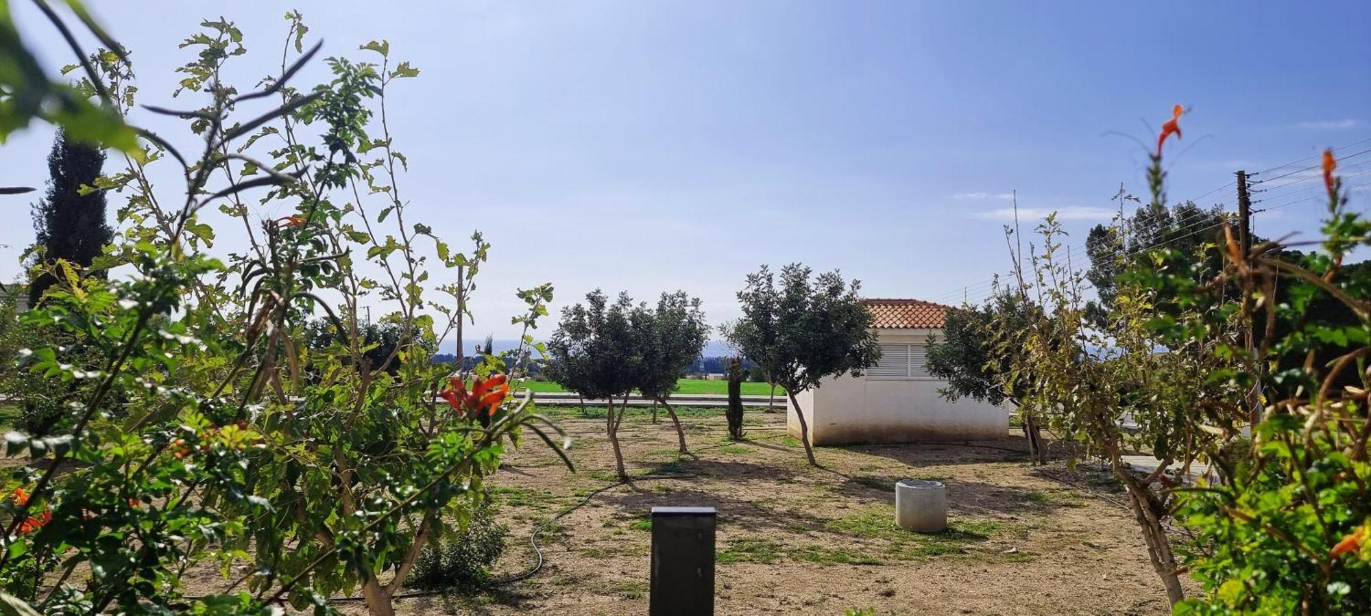Shanti Paphos Villa Esterno foto