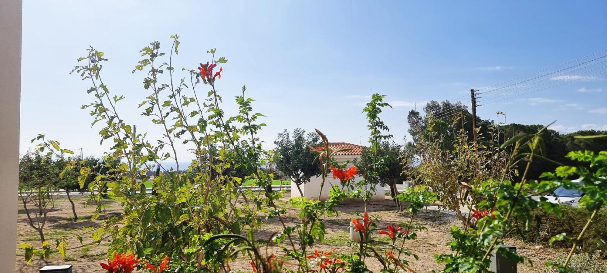 Shanti Paphos Villa Esterno foto
