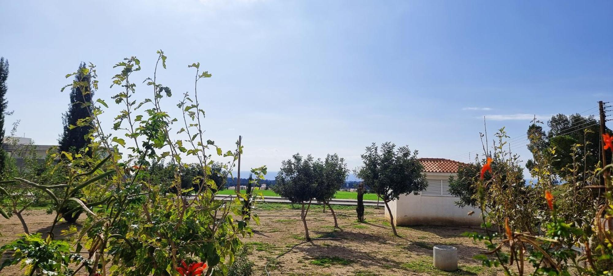 Shanti Paphos Villa Esterno foto