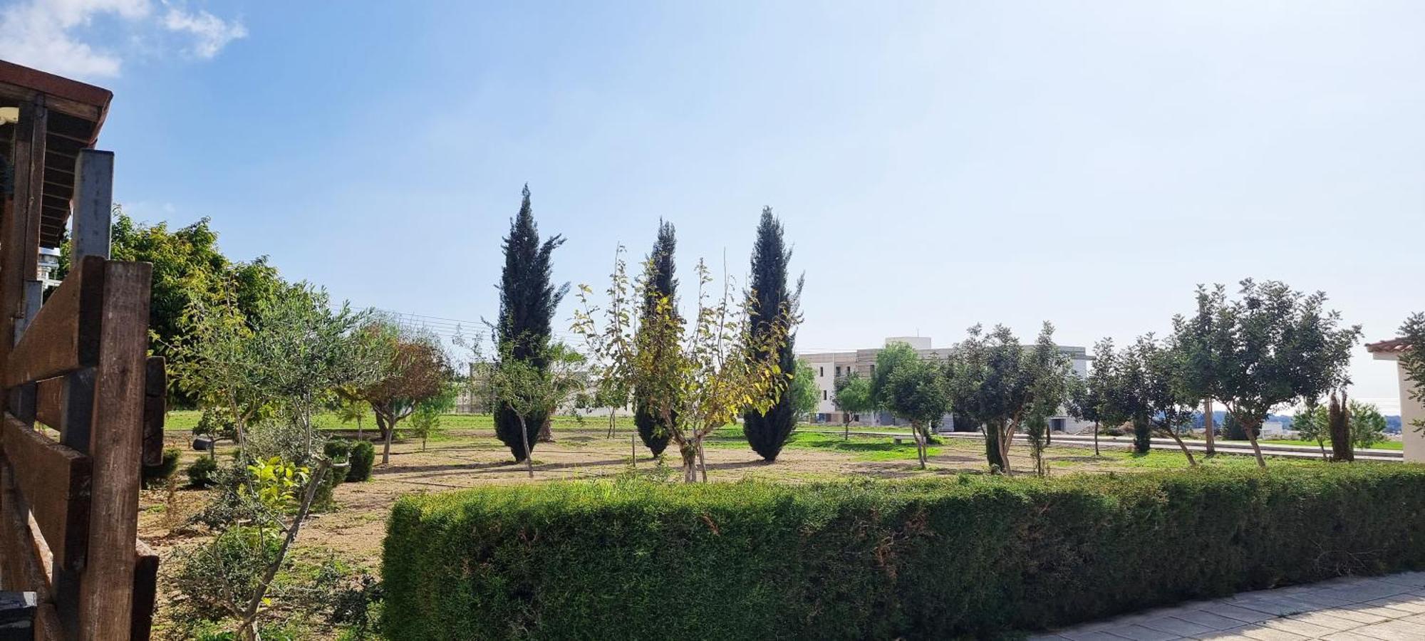 Shanti Paphos Villa Esterno foto